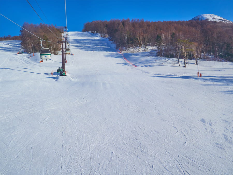 りんご狩り＆りんごづくし